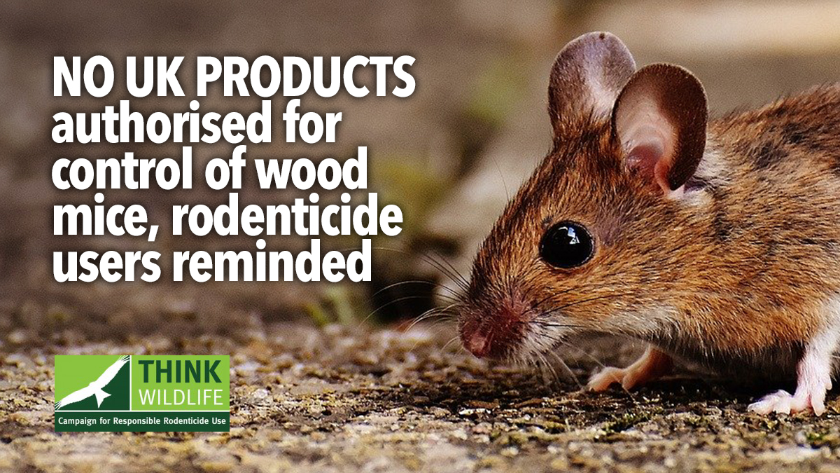 no-uk-products-for-control-wood-mice